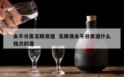 永不分离五粮液酒  五粮液永不分离酒什么档次的酒