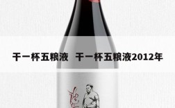 干一杯五粮液  干一杯五粮液2012年