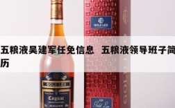 五粮液吴建军任免信息  五粮液领导班子简历