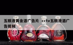 五粮液黄金酒广告片  cctv五粮液酒广告视频