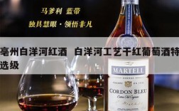 亳州白洋河红酒  白洋河工艺干红葡萄酒特选级