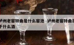 泸州老窖特曲是什么窖池  泸州老窖特曲属于什么酒