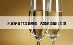 天宫茅台53度酱香型  天宫的酒是什么酒