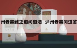 泸州老窖藏之道问道酒  泸州老窖问道鉴藏装