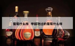 葡萄什么样  甲醛泡过的葡萄什么样