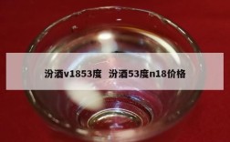 汾酒v1853度  汾酒53度n18价格