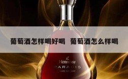 葡萄酒怎样喝好喝  葡萄酒怎么样喝