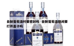 自制葡萄酒时要密封吗  自制葡萄酒期间要打开盖子吗