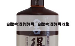 自酿啤酒的酵母  自酿啤酒酵母收集