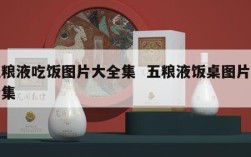 五粮液吃饭图片大全集  五粮液饭桌图片大全集