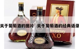 关于葡萄酒的图片  关于葡萄酒的经典语录