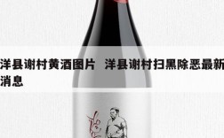 洋县谢村黄酒图片  洋县谢村扫黑除恶最新消息