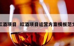 红酒项目  红酒项目运营方案模板范文