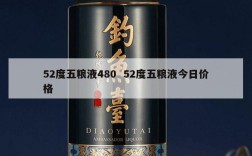 52度五粮液480  52度五粮液今日价格