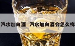 汽水加白酒  汽水加白酒会怎么样