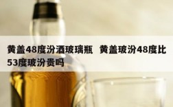 黄盖48度汾酒玻璃瓶  黄盖玻汾48度比53度玻汾贵吗