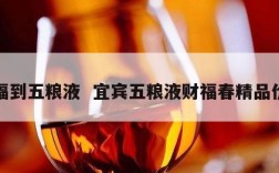 财福到五粮液  宜宾五粮液财福春精品价格