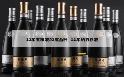 12年五粮液52度品种  12年的五粮液