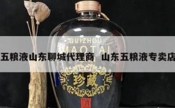 五粮液山东聊城代理商  山东五粮液专卖店