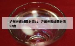 泸州老窖封藏老酒52  泸州老窖封藏老酒52度