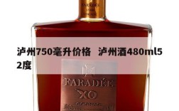 泸州750毫升价格  泸州酒480ml52度