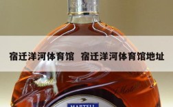 宿迁洋河体育馆  宿迁洋河体育馆地址