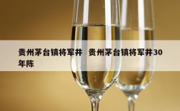 贵州茅台镇将军井  贵州茅台镇将军井30年陈
