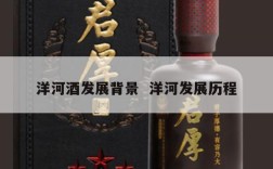 洋河酒发展背景  洋河发展历程