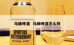 马赫啤酒  马赫啤酒怎么样
