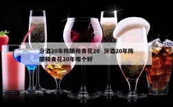 汾酒20年陈酿和青花20  汾酒20年陈酿和青花20年哪个好