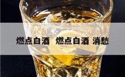 燃点白酒  燃点白酒 消愁