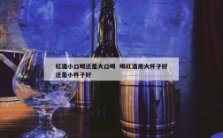 红酒小口喝还是大口喝  喝红酒用大杯子好还是小杯子好
