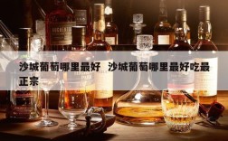 沙城葡萄哪里最好  沙城葡萄哪里最好吃最正宗