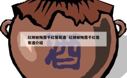 红辣椒梅露干红葡萄酒  红辣椒梅露干红葡萄酒介绍
