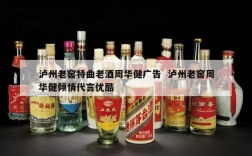 泸州老窖特曲老酒周华健广告  泸州老窖周华健倾情代言优酷