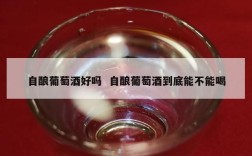 自酿葡萄酒好吗  自酿葡萄酒到底能不能喝