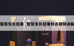 葡萄生长结果  葡萄生长结果特点视频讲解