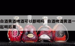 白酒黄酒啤酒可以都喝吗  白酒啤酒黄酒一起喝后果