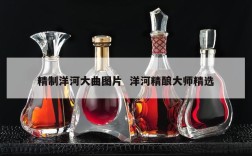 精制洋河大曲图片  洋河精酿大师精选