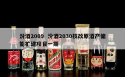 汾酒2009  汾酒2030技改原酒产储能扩建项目一期