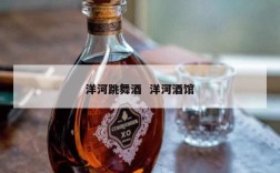 洋河跳舞酒  洋河酒馆