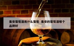 集安葡萄酒用什么葡萄  集安的葡萄酒哪个品牌好