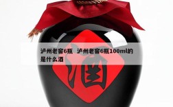 泸州老窖6瓶  泸州老窖6瓶100ml的是什么酒