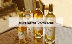 2017年雪花啤酒  2020雪花啤酒