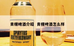 青稞啤酒介绍  青稞啤酒怎么样