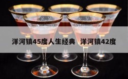 洋河镇45度人生经典  洋河镇42度
