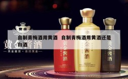 自制青梅酒用黄酒  自制青梅酒用黄酒还是白酒