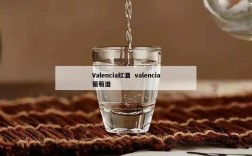 Valencia红酒  valencia葡萄酒