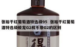 张裕干红葡萄酒特选级95  张裕干红葡萄酒特选级蛟龙G2和不带G2的区别