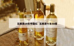 五粮液10年中国红  五粮液十年50度